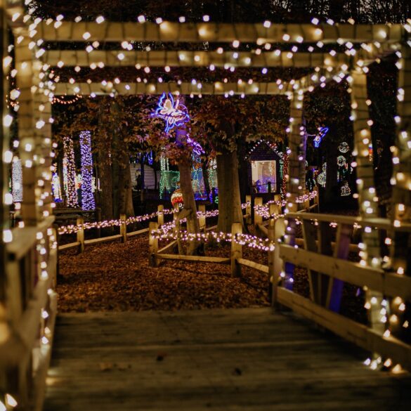 This monmouth county tree farm transforms into a winter wonderland - photo licensed by shore news network.