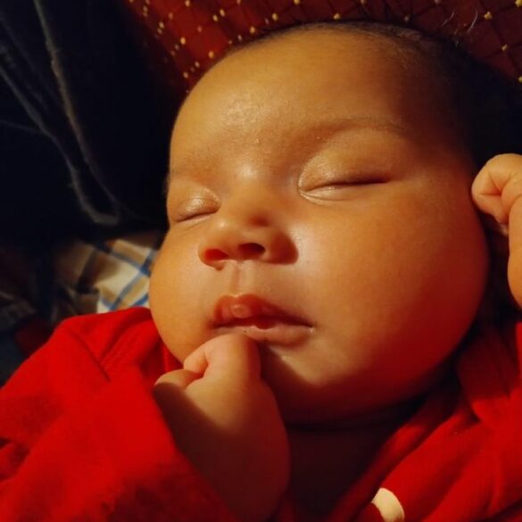 Florida police say missing baby could be in georgia or alabama, mother sought - photo licensed by shore news network.
