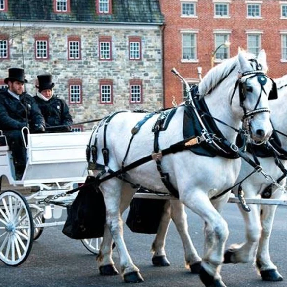 Christmas city, usa is just a short drive away and here's why you need to make the trip - photo licensed by shore news network.