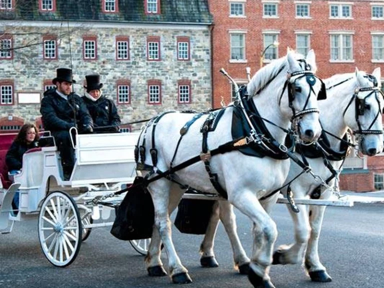 Christmas city, usa is just a short drive away and here's why you need to make the trip - photo licensed by shore news network.