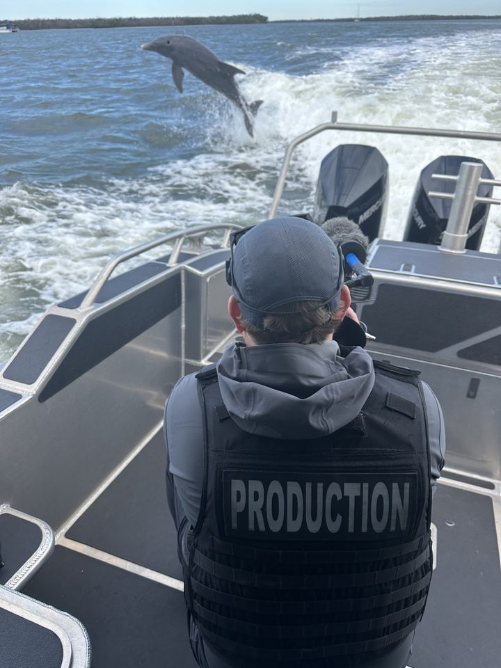 Curious Dolphin Trails Lee County Deputies on Patrol