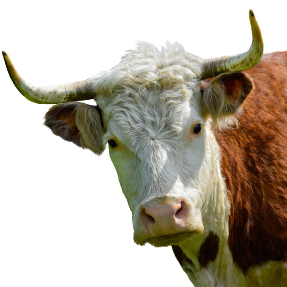 Nj transit excuse for early morning delays a load of bull - photo licensed by shore news network.