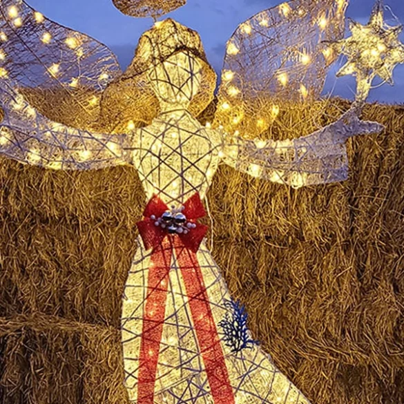 Holiday hayride promises unique festive light experience - photo licensed by shore news network.