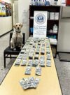 Dulles cbp k9 alerts, officers seize $56k in unreported currency from iraq-bound man