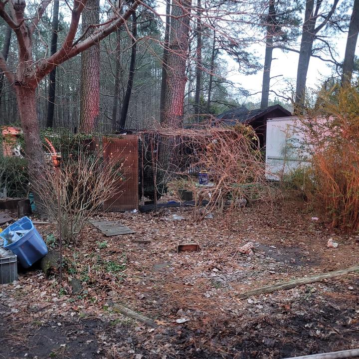 Home Damage, Pet Lost in Fire in Westover
