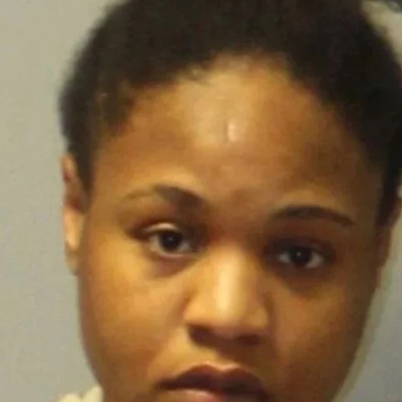 Connecticut mother faces multiple charges after fatal river crash involving toddler - photo licensed by shore news network.