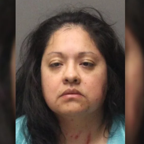 Woman left young children home alone for sexual encounter with baby daddy she later shot - photo licensed by shore news network.