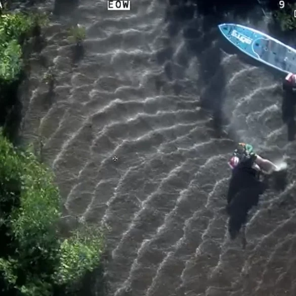 Paddle boarder lost in ten thousand island rescued by helicopter - photo licensed by shore news network.