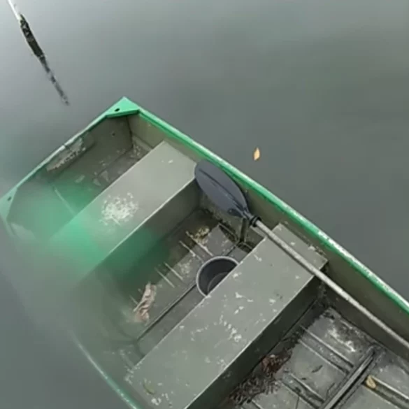 Distressed man rescued from canal on christmas day - photo licensed by shore news network.