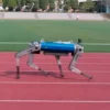 Robot Dog Sets Land Speed Record Robot Dog Sets Land Speed Record