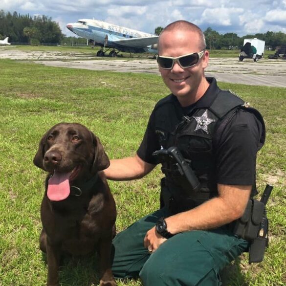 Lee county sheriff's office mourns the passing of retired k-9 karma - photo licensed by shore news network.