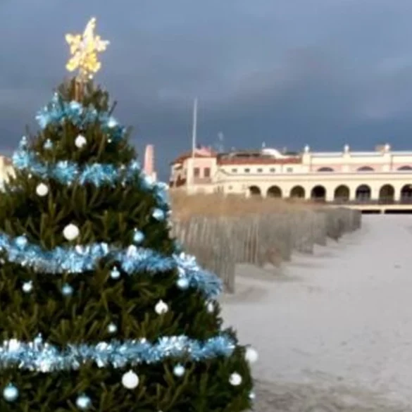 Memorial service to be held for whales, dolphins allegedly killed by offshore sonar mapping - photo licensed by shore news network.