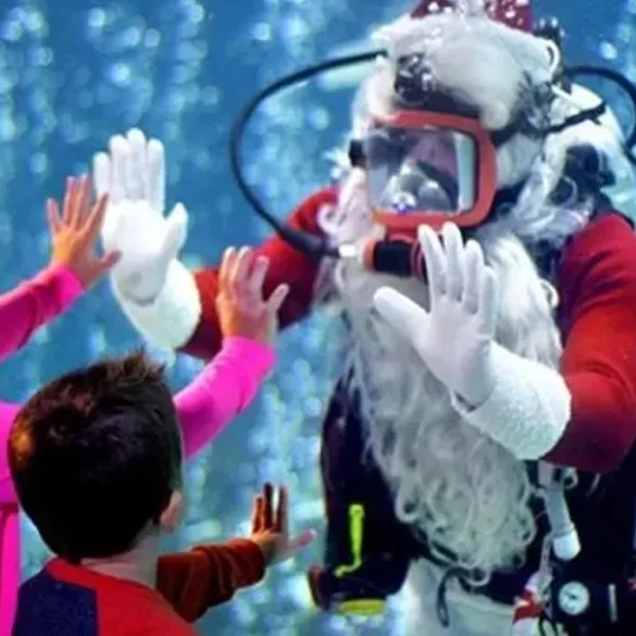 Scuba diving santa welcomes children at aquarium in camden - photo licensed by shore news network.