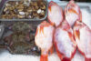 Police seeking five finger fish bandit in solomons
