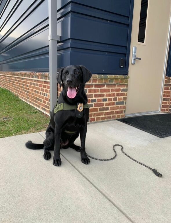 Delaware Natural Resources Police Spotlight K9 River