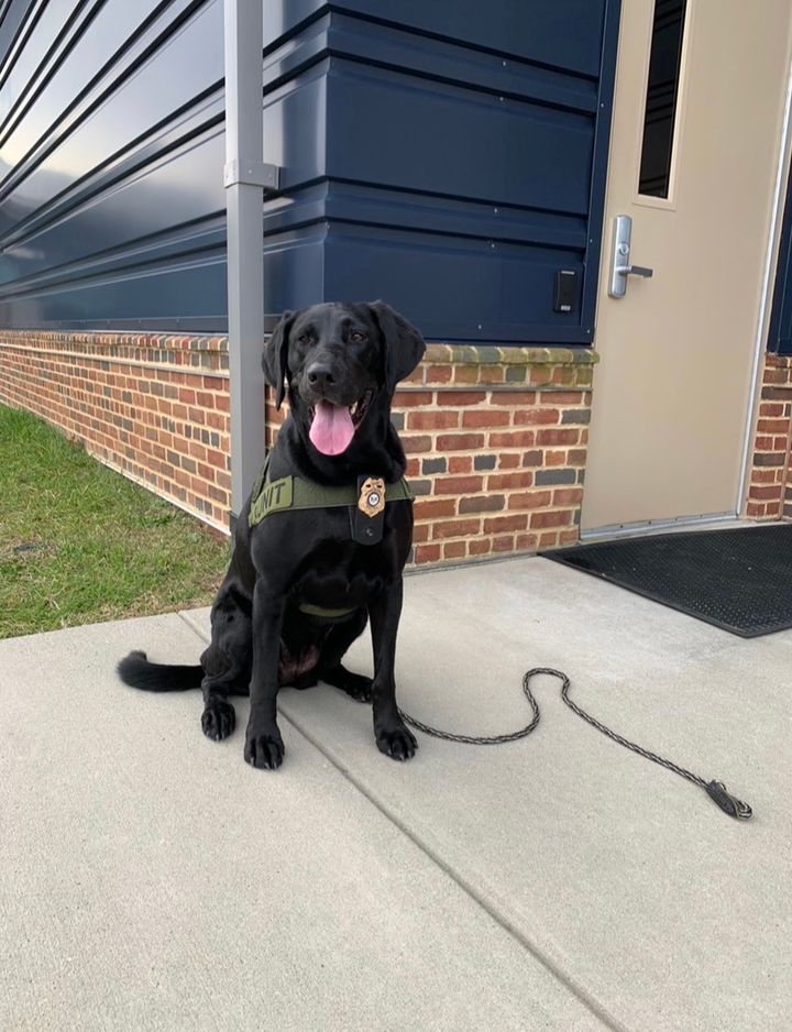 Delaware Natural Resources Police Spotlight K9 River