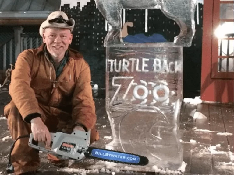 Turtle back zoo illuminates holidays with festive lights display - photo licensed by shore news network.