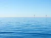 New study warns offshore windfarms can cause ocean dead zones