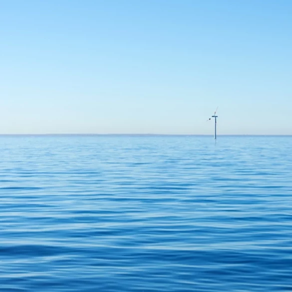 New study warns offshore windfarms can cause ocean dead zones - photo licensed by shore news network.