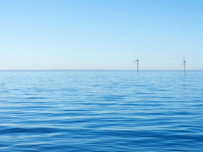 New Study Warns Offshore Windfarms Can Cause Ocean Dead Zones
