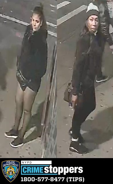 Wallet Theft Reported Near Roosevelt Avenue and 77th Street