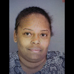 Interstate Investigation Leads to Arrest of Gang-Connected Couple