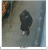 Newark police request public assistance in identifying auto burglary suspect