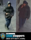 Elderly brooklyn woman victim of purse snatching