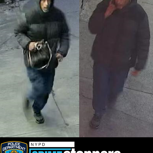 Elderly brooklyn woman victim of purse snatching - photo licensed by shore news network.