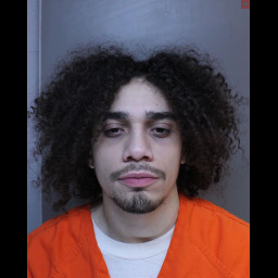 Bizarre Domestic Dispute Unfolds Inside Car in Pocono Township