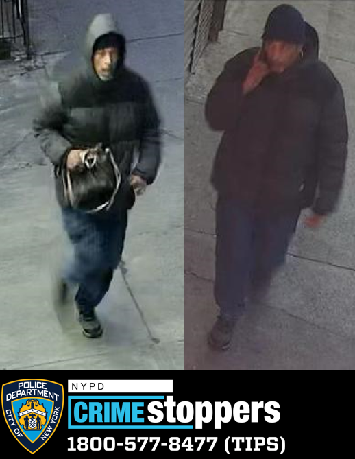 Elderly Brooklyn Woman Victim of Purse Snatching