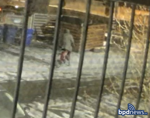 Boston Police Seek Dreadlocked Vehicle Burglar