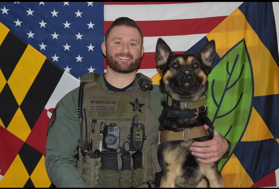 Calvert County Sheriff's Office Introduces New K-9 Team Member, 'Atlas'