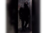 Deli burglar caught on camera in philly