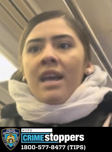 Woman Targeted in Brooklyn Subway Robbery Woman Targeted in Brooklyn Subway Robbery