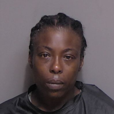 Child Abductor Captured, 3-Year-Old Safely Returned to Family