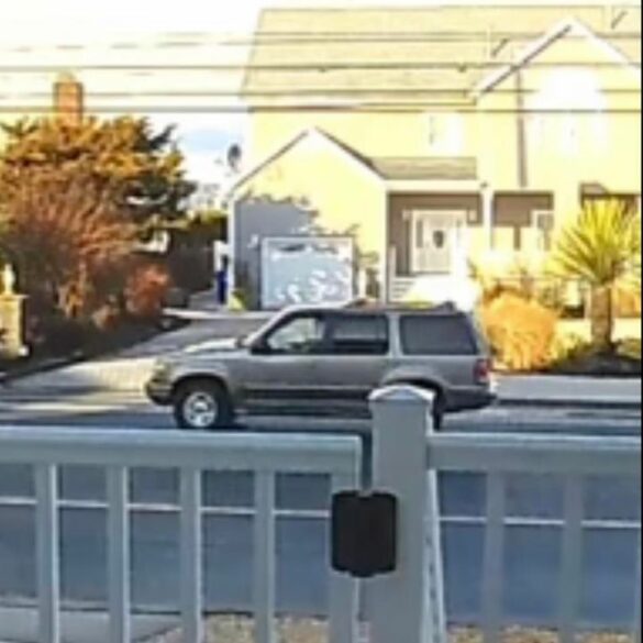 Driver, ford explorer sought in deadly brick township hit and run - photo licensed by shore news network.