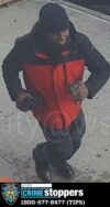 Women targeted in multiple nyc snatch and grab robberies