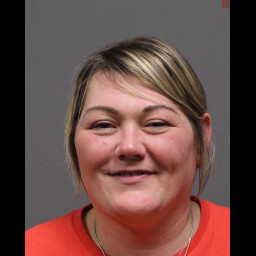 Domestic Dispute Leads to Assault Charges in Penn Township