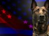 Baltimore county police department announces passing of beloved k9 chief