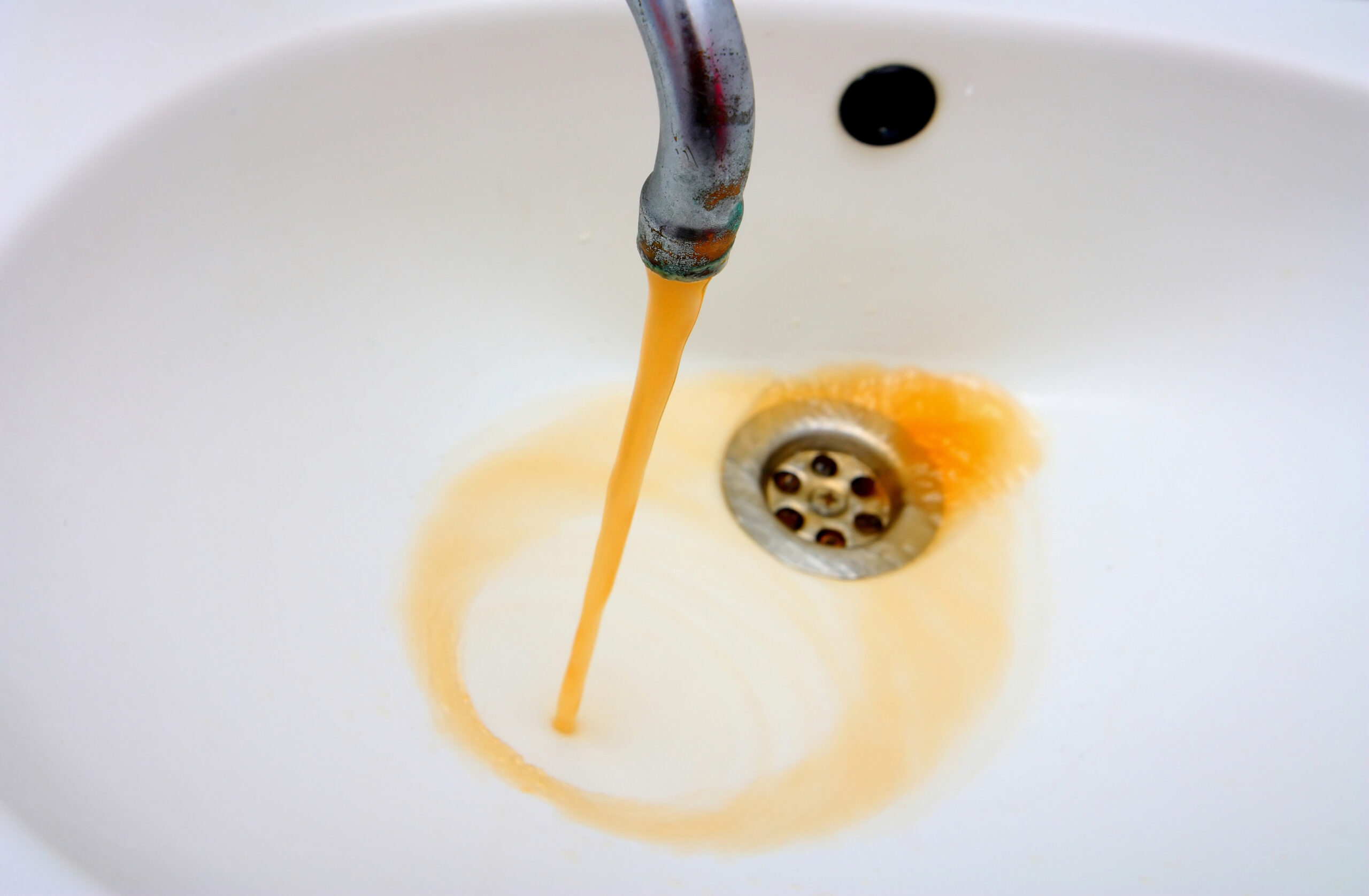 Something Smells Fishy in the Water in Jackson Township
