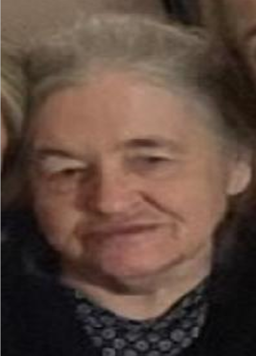 Search for Missing 80-Year-Old Woman in Queens Continues