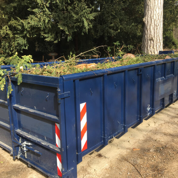 Jackson cans dumpster ordinance - photo licensed by shore news network.