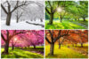 Ready for 2024 weather? Here's what farmer's almanac predicts for new jersey