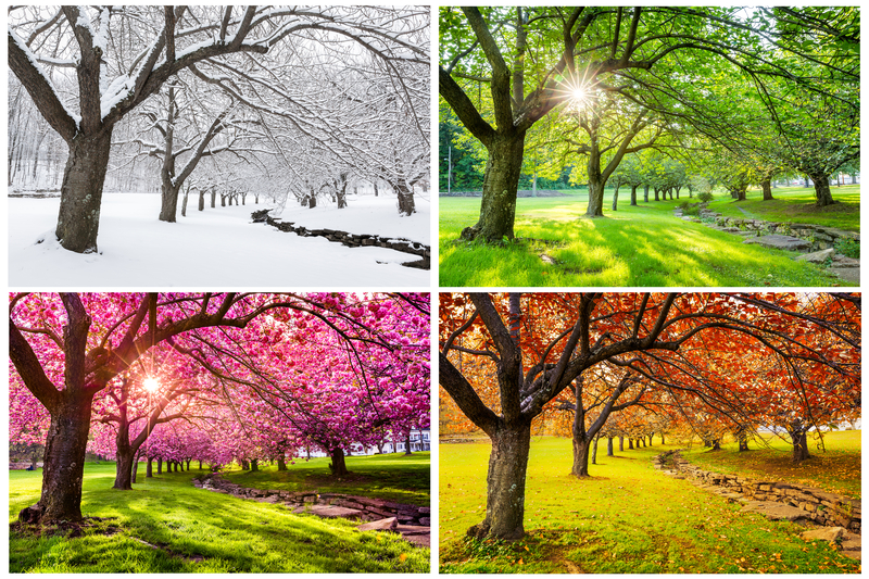 Ready for 2024 Weather? Here's What Farmer's Almanac Predicts for New Jersey