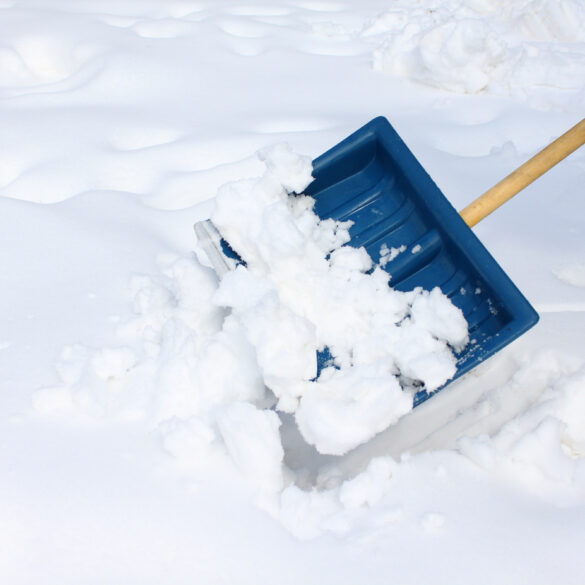 Toms river township: here's what's open and what's closed - photo licensed by shore news network.