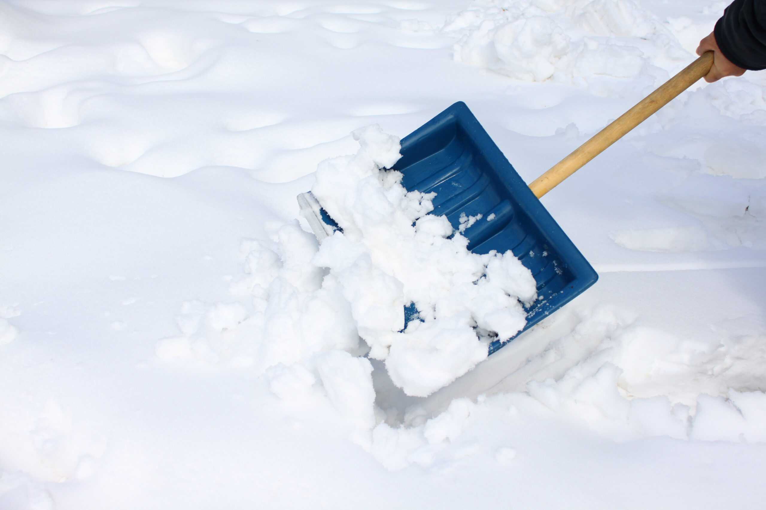 Toms River Township: Here's What's Open and What's Closed