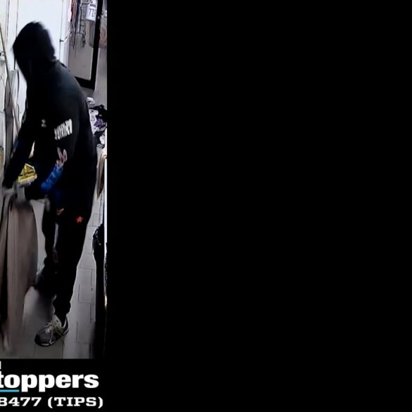 Burglary at bushwick avenue laundromat; nypd seeks public's help - photo licensed by shore news network.