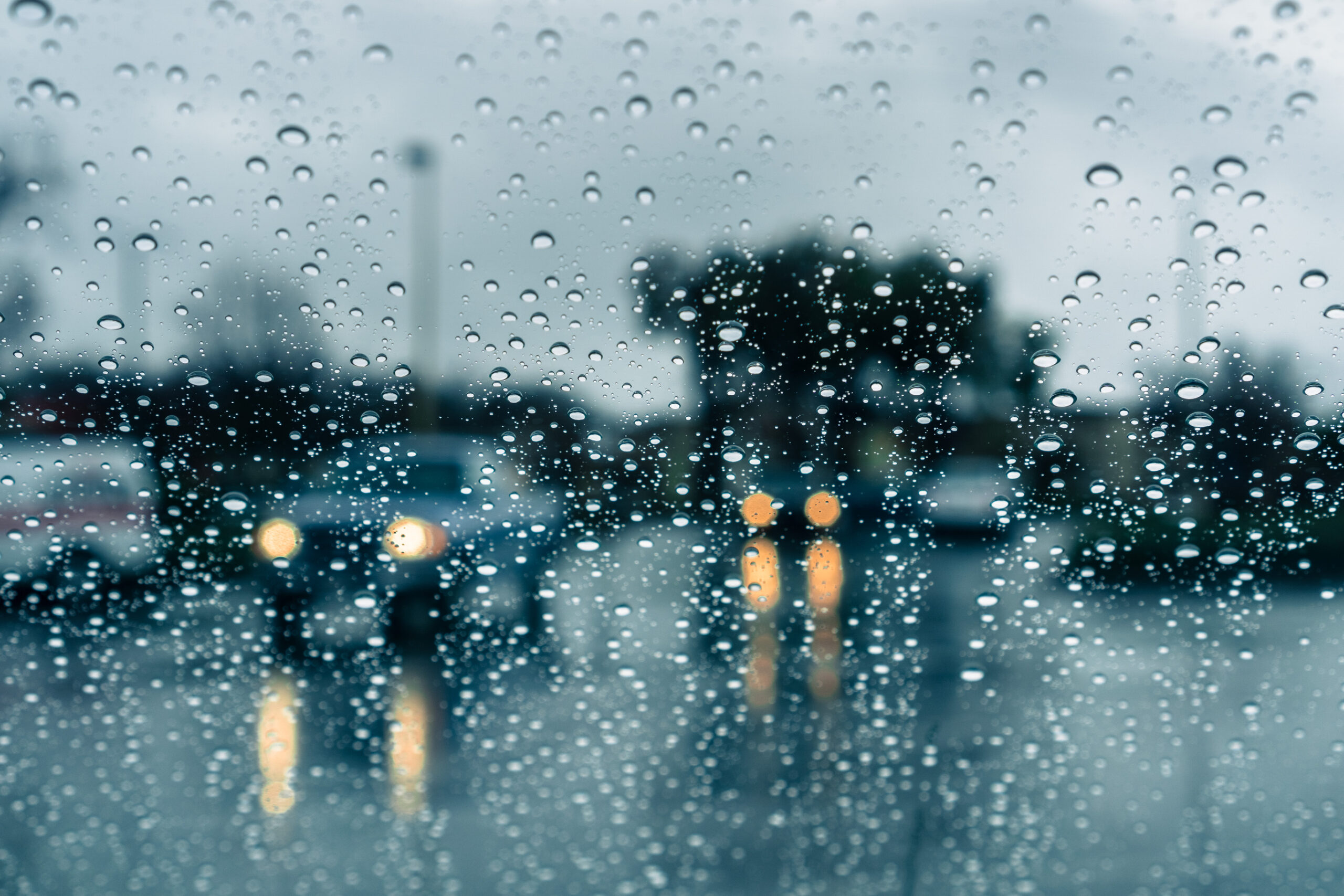 Linden Prepares for Significant Storm; Heavy Rain and Wind Expected