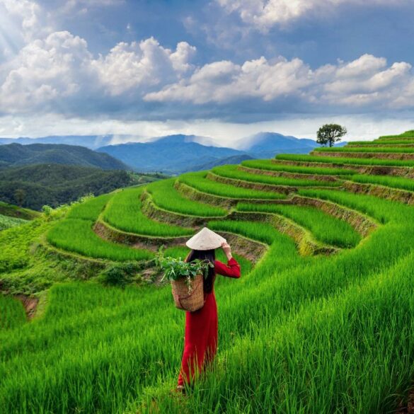 The best holiday destination ideas for 2024 - photo licensed by shore news network.